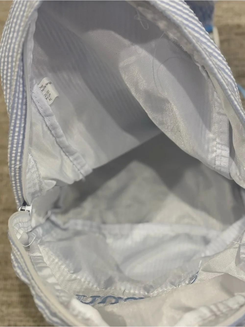 Hudson mint Light Blue Backpack